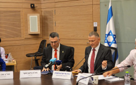 יולי אדלשטיין, גדעון סער (צילום: אברהם בלוך)