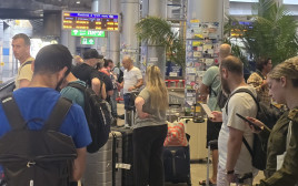 השבים בטיסת החילוץ (צילום: רכבת ישראל)