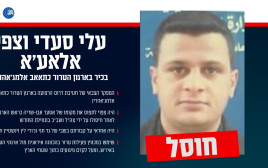עלי סעדי וצפי אלאע'א (צילום: דובר צה"ל)