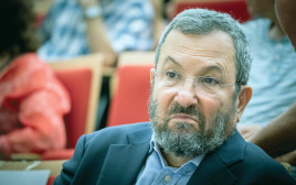 אהוד ברק (צילום: יונתן זינדל, פלאש 90)