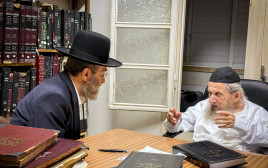 ח"כ משה גפני בהתייעצות במעונו של הגר"ד לנדו שליט"א בעניינים העומדים על הפרק (צילום: ללא קרדיט)