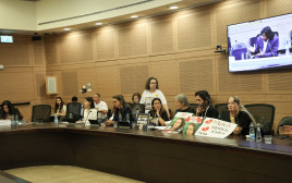 מתוך הדיון בוועדת החוקה (צילום: דני שם טוב, דוברות הכנסת)