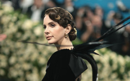 לנה דל ריי (צילום:  Dimitrios Kambouris/Getty Images for The Met Museum/Vogue)