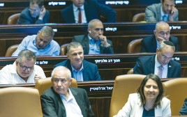 הכנסת (צילום: חיים גולדברג, פלאש 90)