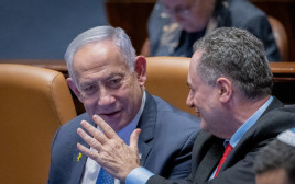 ישראל כ"ץ, בנימין נתניהו (צילום: חיים גולדברג, פלאש 90)