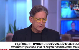ערד ניר (צילום: צילום מסך חדשות 12)