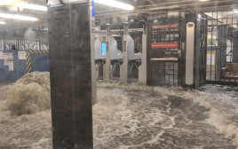 תחנת רכבת תחתית בניו יורק מוצפת משיטפון (צילום: רויטרס)