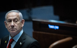 בנימין נתניהו (צילום: יונתן זינדל, פלאש 90)