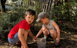 תאומי משפחת ישועה  (צילום: טל פינקלשטיין)