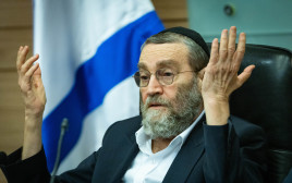 משה גפני (צילום: פלאש 90)