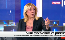 איילה חסון (צילום: צילום מסך כאן 11)