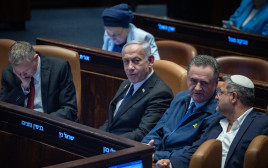 נתניהו ושרי הממשלה במליאה (צילום: יונתן זינדל פלאש 90)