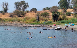נופשים בחוף מפרץ אמנון בכינרת (צילום: אושרי בן דור, איגוד ערים כינרת)
