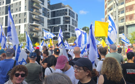 הפגנה בתל אביב (צילום: שרה וולפלינג/TPS)