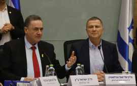 יולי אדלשטיין, ישראל כ"ץ (צילום: מארק ישראל סלם)