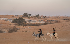 בדואים בנגב (צילום: יניב נדב, פלאש 90)