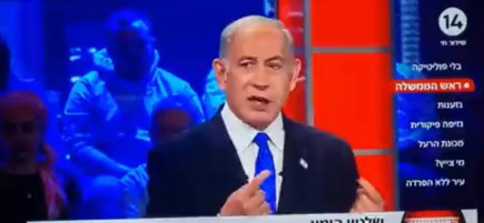 בנימין נתניהו בערוץ 14 (צילום: צילום מסך)