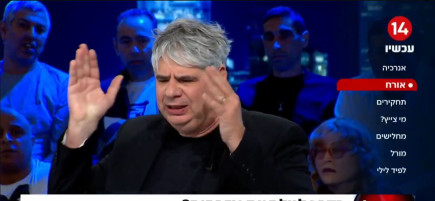 גיא מרוז בערוץ 14 (צילום: צילום מסך ערוץ 14)
