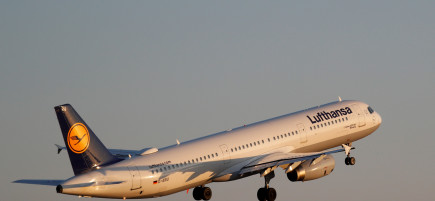 מטוס איירבוס A321 של לופטהנזה. אילוסטרציה (צילום: רויטרס)