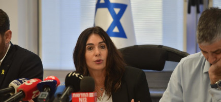 מירי רגב (צילום: אבשלום ששוני)