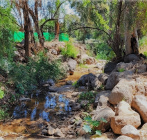 נחל רקת וגדותיו לפני  עבודות השיקום (צילום: מרים בן שלום)