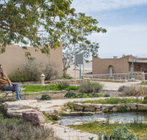 קיבוץ נאות סמדר (צילום: נאות סמדר)
