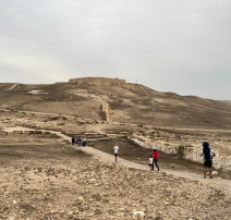 תל ערד (צילום: רשות הטבע והגנים,חגי דביר)