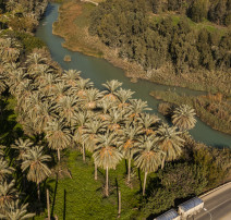 עמק המעיינות (צילום: צילום אוויר: מור דגן)