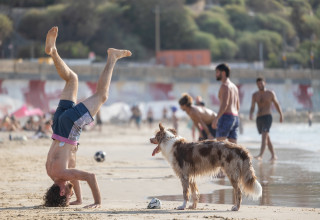 חוף הים (צילום: דור פזואלו, פלאש 90)