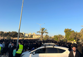 אלפי חרדים מחסידות גור מפגינים נגד חוק הגיוס בערד (צילום: פלד ארבלי)