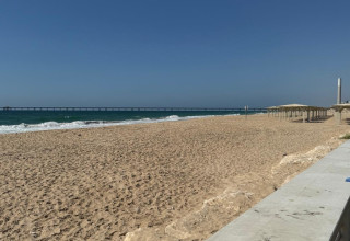 חוף זיקים (צילום: דן עזרא)