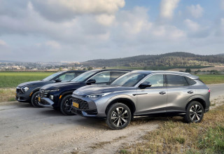 TRIPLE HYBRID (צילום: דודי מוסקוביץ)