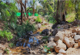 נחל רקת וגדותיו לפני  עבודות השיקום (צילום: מרים בן שלום)
