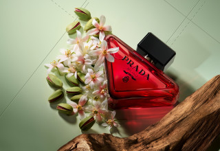 Prada Paradoxe Radical Essence (צילום: יחצ חול,באדיבות המותג)
