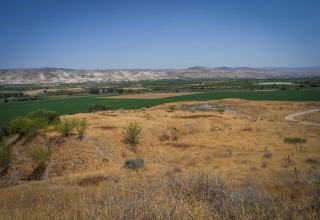 בקעת הירדן (צילום:  איל מרגולין, פלאש 90)