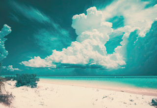 חוף ים (צילום:  אינג אימג')