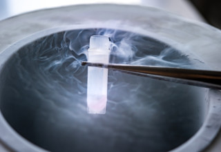 בנק זרע. פיקוח ורגולציה מחמירים (צילום: שאטרסטוק)