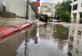 גשם (צילום: אבשלום ששוני)