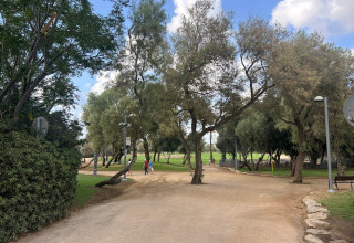 גן העצמאות (צילום: מאיה כהן)
