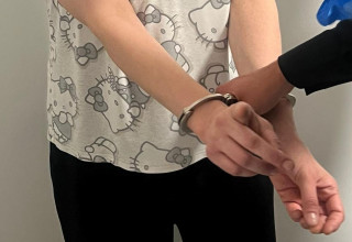 חשוד באזיקים (צילום: ללא, אילוסטרציה)