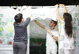 בונים סוכה בראשון לציון (צילום: אלוני מור)