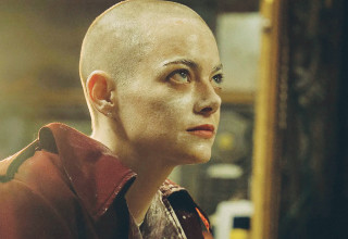 בוגוניה (צילום: טוליפ מדיה )