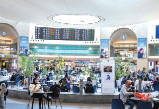 דיוטי פרי (צילום: נתי שוחט, פלאש 90)