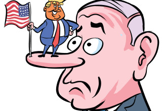 מדינת חסות (צילום: איור איציק סמוכה)