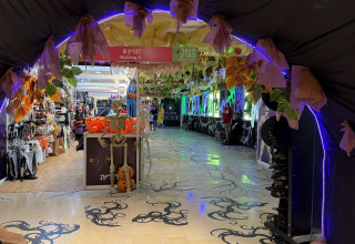 יריד האלווין 2025 בדיזנגוף סנטר (צילום: מאור ציון)