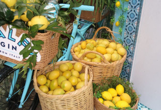 פופ-אפ איטלקי עם מותג הג'ין MALFY במסעדת נואמה (צילום: גולדן הפקות)