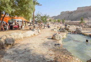 פסטיבל סדום ואהבה  (צילום: אמיר יעקובי)