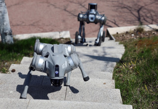 כלבים רובוטיים בסין (צילום: רויטרס)