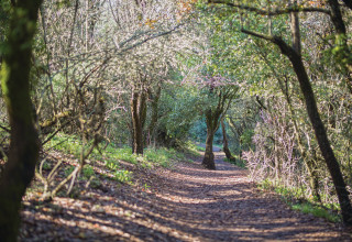 שביל הפסגה (צילום: דרור ארצי)