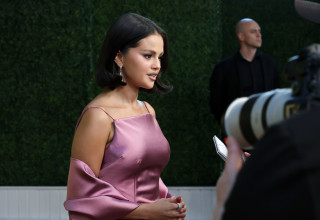 סלינה גומז (צילום:  Kevin Winter/Getty images)